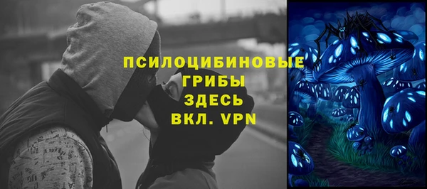 прущая мука Бородино