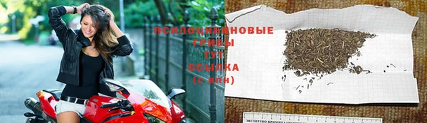 а пвп мука Бугульма