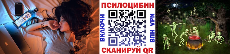 Псилоцибиновые грибы Psilocybine cubensis  Егорьевск 